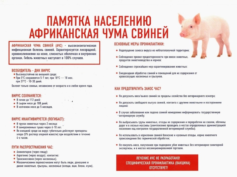 Памятки по предупреждению возникновения заболеваний сельскохозяйственных животных и птицы.