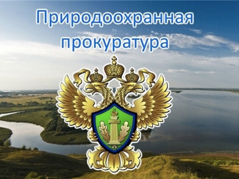 ПРИРОДООХРАННАЯ ПРОКУРАТУРА ИНФОРМИРУЕТ:.